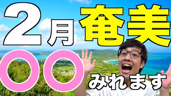 【2月の観光情報】奄美大島のおすすめ観光スポットは❓気候・服装について
