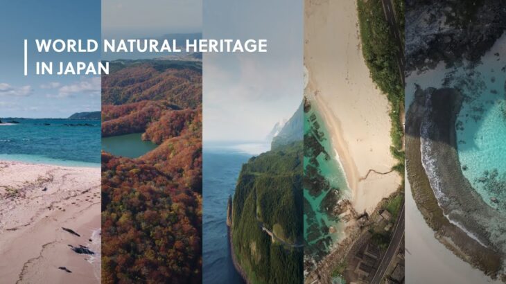 Introducing Japan’s 5 World Natural Heritages