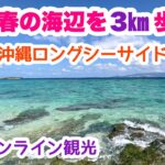 【沖縄オンライン観光】春の海辺を3km歩く旅「沖縄旅行情報」