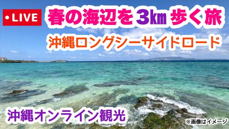 【沖縄オンライン観光】春の海辺を3km歩く旅「沖縄旅行情報」