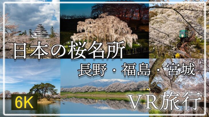 【360°VR旅行】日本の桜名所～長野・福島・宮城編～ 【Insta360oneRS 360°1インチ】