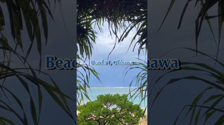 【沖縄旅行】おすすめビーチは澄んでて魚も泳いでいる！🐠✨#国内旅行 #沖縄 #恩納村