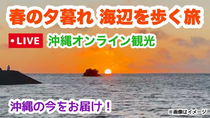 【沖縄オンライン観光】春の夕暮れ 海辺を歩く旅「沖縄旅行情報」