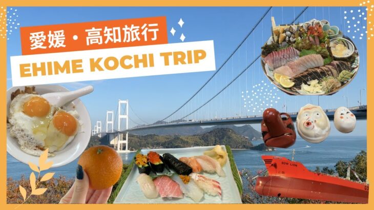 愛媛・高知旅行vlog | 地元の人おすすめ✨ 松山観光🍊、今治で潮流体験🚢、地元で人気のグルメ堪能🍴、高知で5軒はしご酒🍺、桂浜🌊