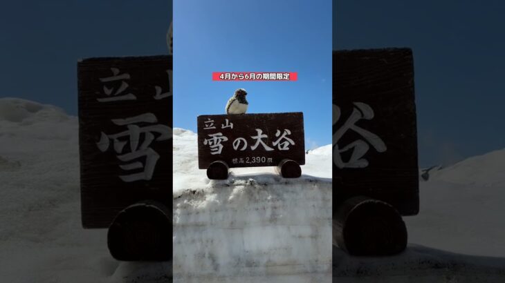 【超絶絶景】立山黒部アルペンルートが凄すぎる。長野側の扇沢駅→富山の立山駅へ！#国内旅行 #富山旅行 #絶景 #shorts