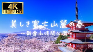 【4K】【絶景】美しき美しき富士山麓の春～新倉山浅間公園～【癒し】【日本の絶景】