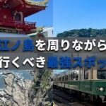 【日本屈指の観光名所】江ノ島を周りながら絶対に行くべき最強スポット紹介