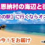 【沖縄オンライン観光】恩納村の海辺と街歩き旅 「沖縄旅行情報」