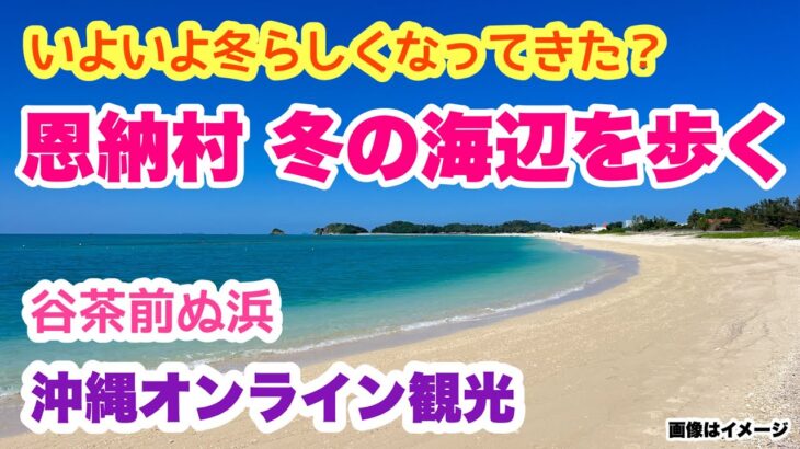 【沖縄オンライン観光】恩納村 海辺を歩く旅 谷茶前の浜「沖縄旅行情報」