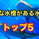【ランキング】日本で大きな水槽がある水族館トップ5を紹介！日本一の水族館はどこか？【ゆっくり解説】建築　水族館