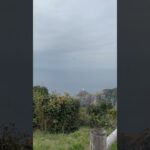 大瀬埼灯台展望台からの絶景