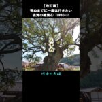 佐賀の絶景4/5 TOP40-31