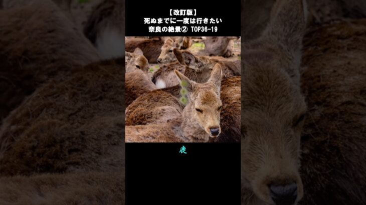【改訂版】奈良の絶景②TOP36-19