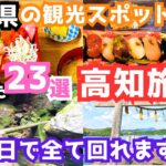 【高知観光】高知旅行におすすめの観光スポット＆グルメをご紹介します