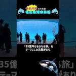 【名古屋観光】シャチに会える‼日本最大級の水族館🐬名古屋港水族館🐬＃名古屋観光スポット＃国内旅行#名古屋