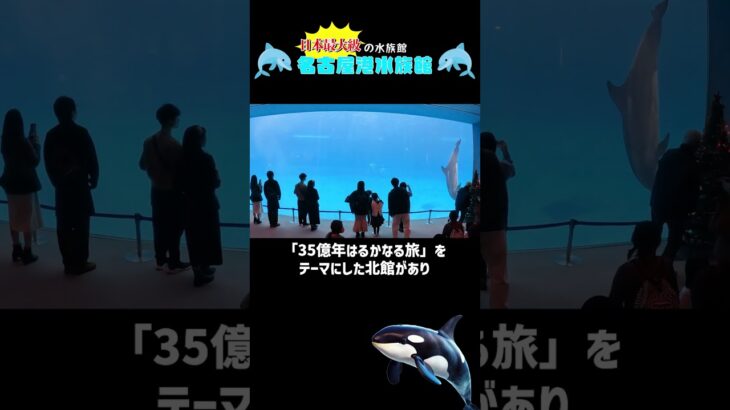 【名古屋観光】シャチに会える‼日本最大級の水族館🐬名古屋港水族館🐬＃名古屋観光スポット＃国内旅行#名古屋