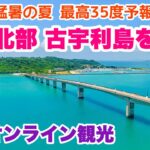 【沖縄オンライン観光】沖縄北部 古宇利島を歩く旅「沖縄旅行情報」