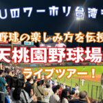 台湾野球の楽しみ方を伝授！楽天桃園野球場ツアー！～元HISスタッフYASUの台湾をプロデュース～