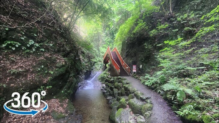 【VR 360°】【日本 神奈川】散步 in 塩川滝