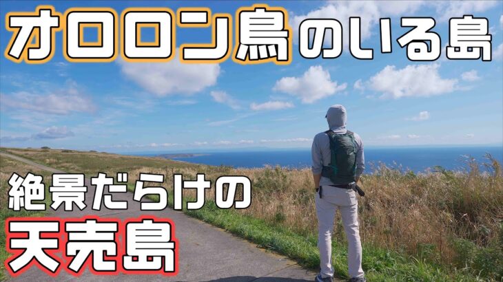 オロロン鳥の生息地【天売島】絶景だらけの北海道車中泊旅