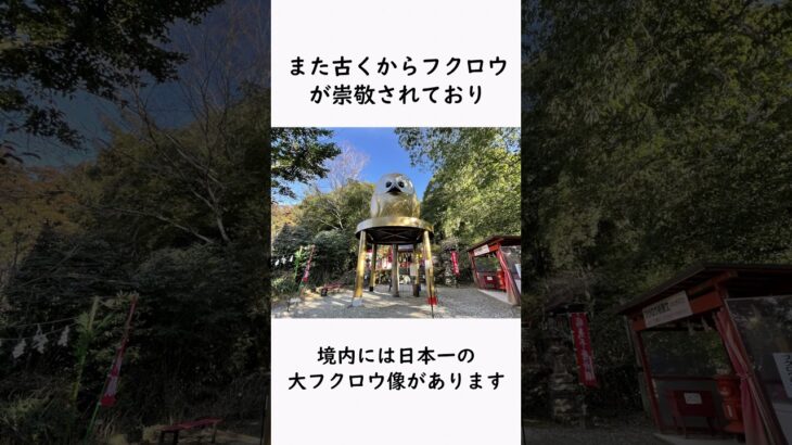 【有益】日本にある珍しい神社！【雑学/旅行/神社/豆知識#雑学 #おすすめ